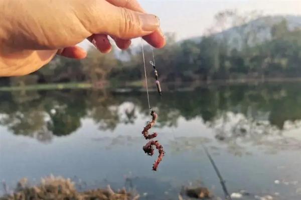 冬季晴天什么时间段适合钓鱼，中午垂钓最容易成功