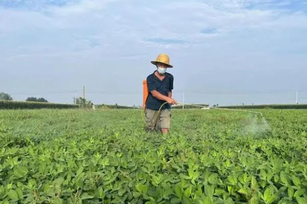 绿色蔬菜如何选择除草剂，需要从吸收方法、处理方法等方面考虑