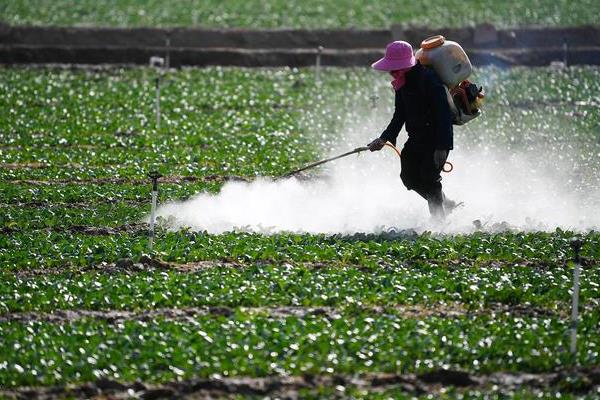 绿色蔬菜如何选择除草剂，需要从吸收方法、处理方法等方面考虑