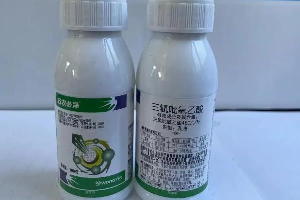 三氯吡氧乙酸可以除哪些草，可以防除灌木、小乔木以及阔叶杂草