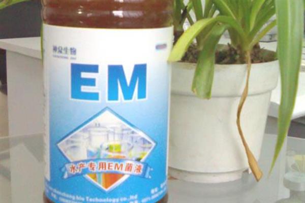 em菌的使用注意要点，不可与抗生素以及杀菌剂混合使用