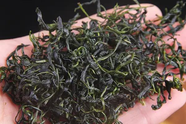 苦丁茶的产地，长江下游至华南中亚热带均有分布
