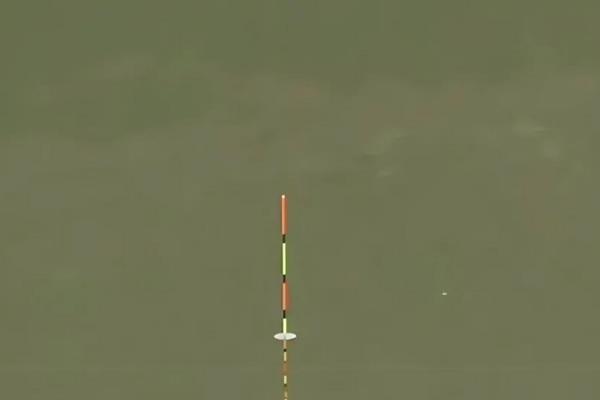 漂相好但无法中鱼如何处理，遇到小鱼闹窝可以开硬饵