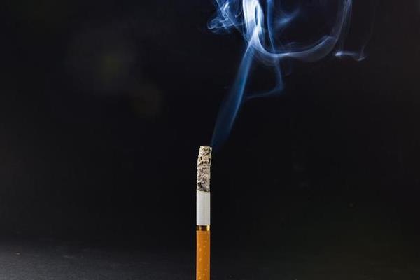 哪些过敏原会造成猫咪哮喘，包括烟味、粉尘、味道刺鼻的物品等