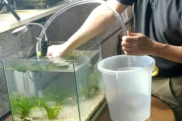 鱼缸全部换水经过24小时能不能放鱼，通常需要1周的时间才能养鱼