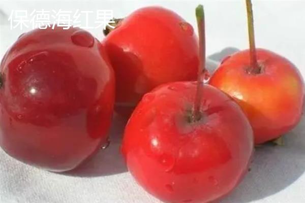 山西保德县的特产，有保德碗托、保德海红果等