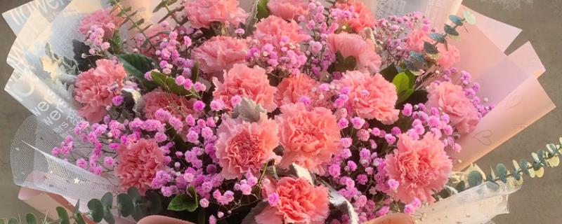 康乃馨百合玫瑰的花语，寓意感恩尊敬、百年好合等