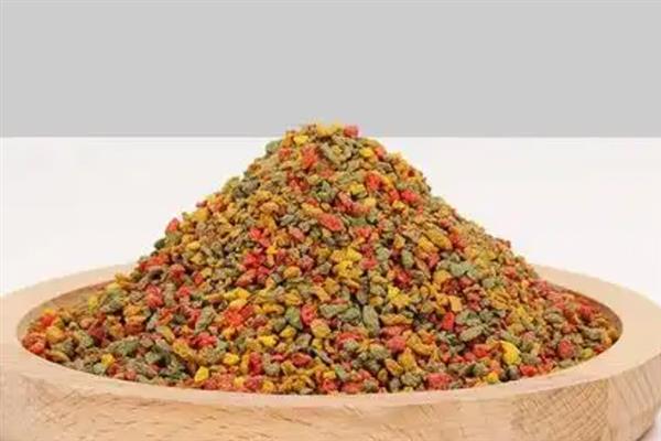 秋季钓鲤鱼的技巧，可以用自然饵也可用商品饵