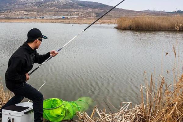 手竿钓鲈鱼用哪种饵料，可以选择河虾、泥鳅、沙蚕等