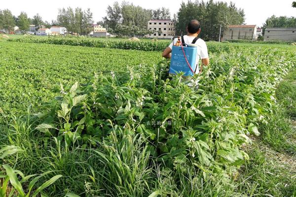 农作物的追肥期，不同作物的追肥期不同