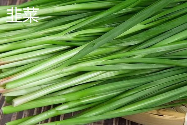 冬季能种哪些蔬菜，可选择萝卜、韭菜、菠菜等品种