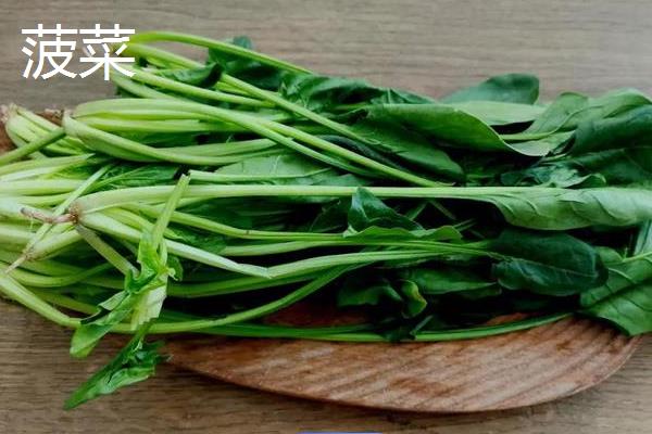 冬季能种哪些蔬菜，可选择萝卜、韭菜、菠菜等品种