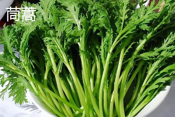 冬季能种哪些蔬菜，可选择萝卜、韭菜、菠菜等品种