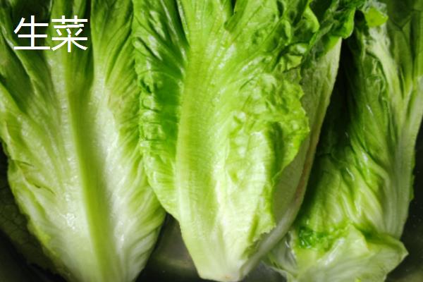 冬季能种哪些蔬菜，可选择萝卜、韭菜、菠菜等品种