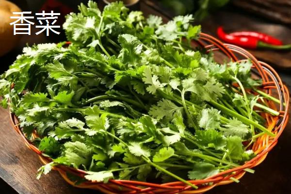 冬季能种哪些蔬菜，可选择萝卜、韭菜、菠菜等品种