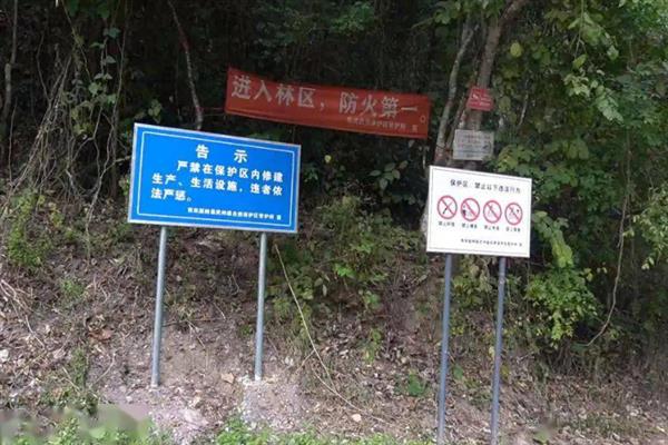 保护树木的方法，首先要严禁乱砍滥伐