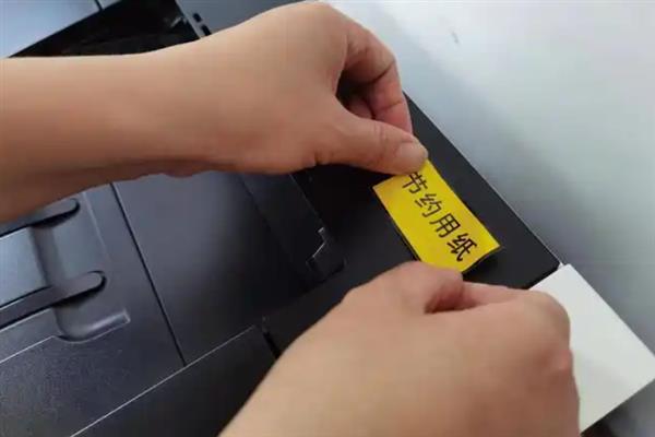 保护树木的方法，首先要严禁乱砍滥伐