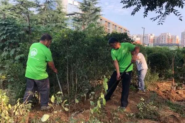 保护树木的方法，首先要严禁乱砍滥伐