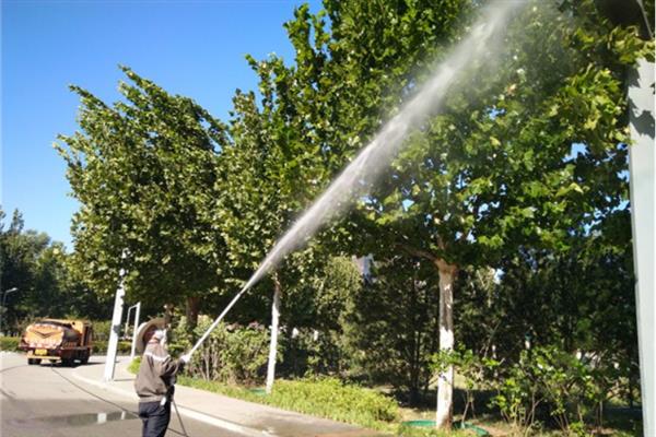 保护树木的方法，首先要严禁乱砍滥伐