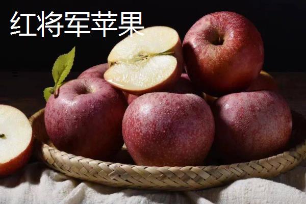 苹果在什么季节成熟，不同品种的成熟时间不同