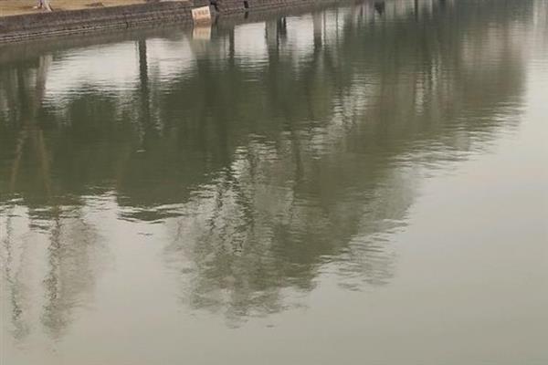 适合钓鱼的气压，以990-1005百帕为宜