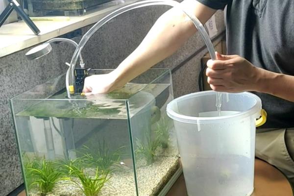 锦鲤喜欢哪种水流，用小水流更合适