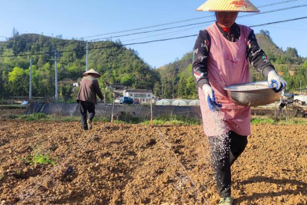 不能混用的化学肥料，化学肥料不可与性肥料混用