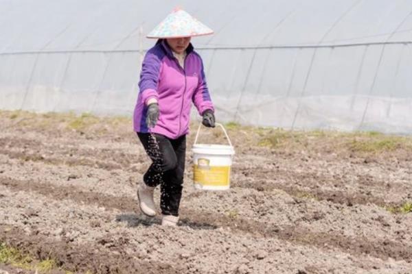 不能混用的化学肥料，化学肥料不可与性肥料混用