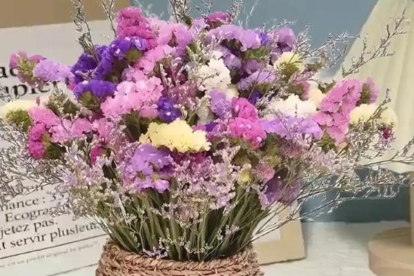 补血草和勿忘我有什么区别，外形、叶片和花朵均不同