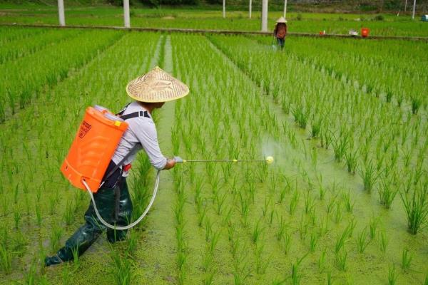 四氯虫酰胺怎么使用，根据害虫类型决定用药量