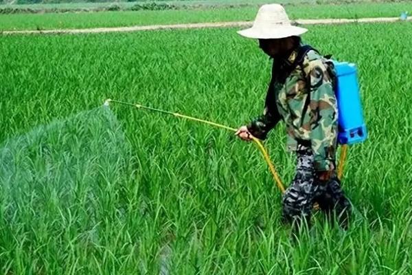 四氯虫酰胺怎么使用，根据害虫类型决定用药量