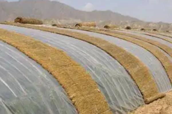 怎么建种蒜黄的大棚，需要建一个半地下室式大棚