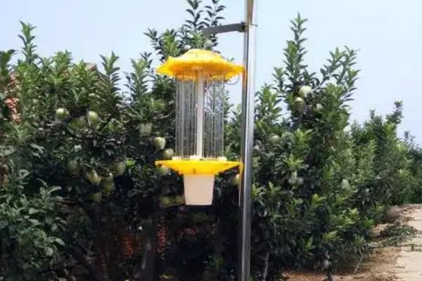 果园杀虫灯如何使用，每天都要清理一次接虫袋