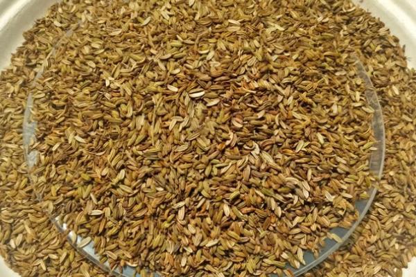 花卉种子怎么选择，要留心包装袋上的生产日期