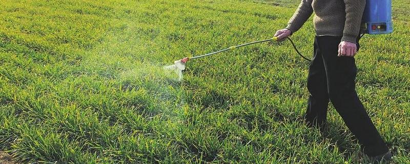 除草剂的适宜喷施时间，在杂草2-3叶期打药效果较好