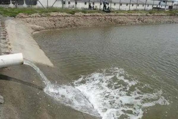 鲈鱼怎么养殖，每隔5-7天注一次新水