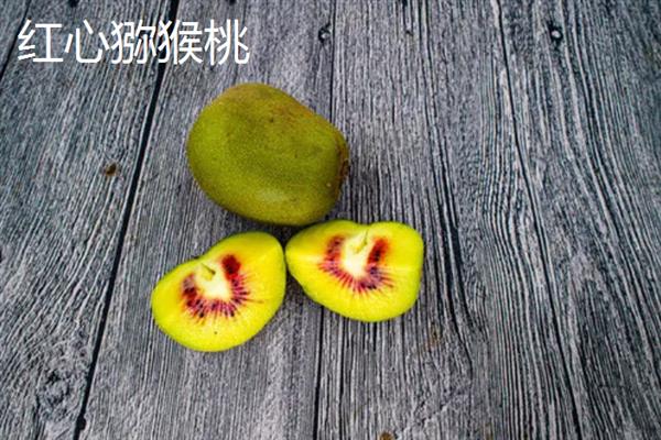 软枣猕猴桃和红心猕猴桃的区别，果肉颜色和果实形状不同