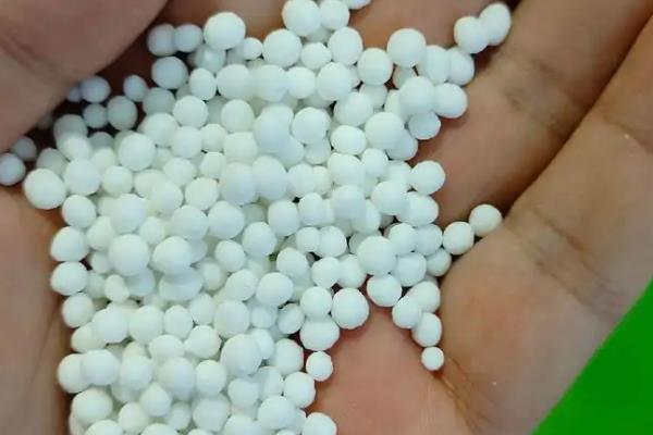 菠菜如何施肥，种植时间不同导致施肥方式不一样