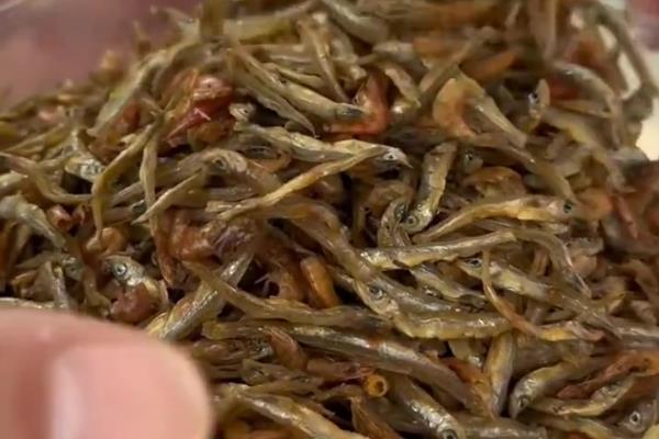 怎么养龙鱼，每周至少要进行三到四次换水