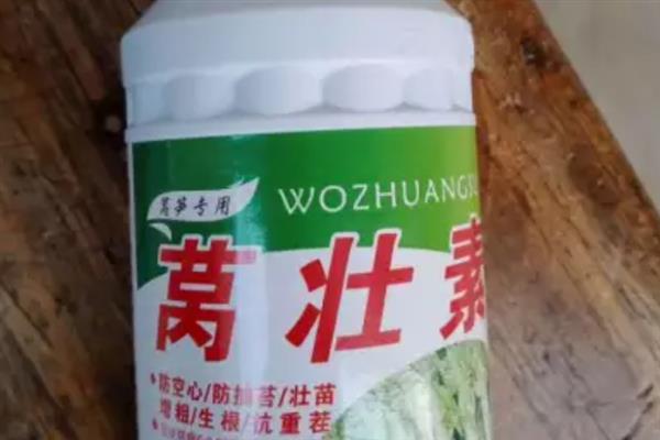 夏季莴笋的种植方法，适合生长在较为肥沃的环境中