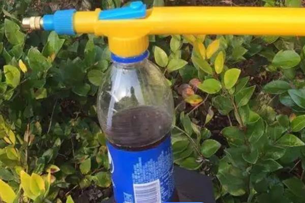 可乐能浇花吗，可以浇花但要注意方式