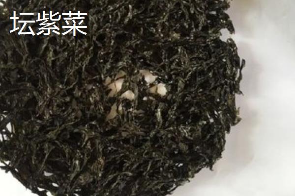 紫菜的产地，产地多分布在沿海地区