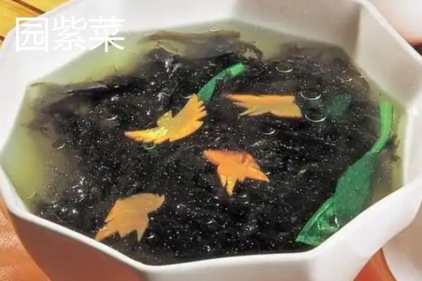 紫菜的产地，产地多分布在沿海地区