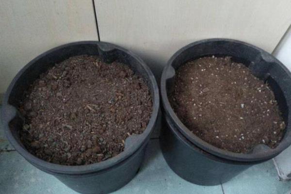 花生渣发酵做肥料的方法，以自然发酵、液体发酵、固态发酵这三种方式为主