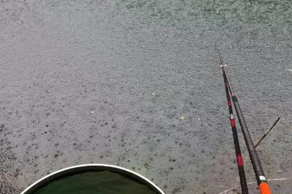 冬季下过雨第二天能不能钓鱼，使用腥饵可增加垂钓成功率