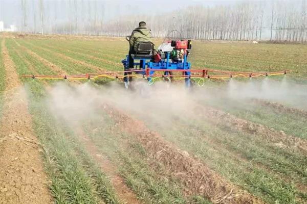 小麦拔节期需要用什么肥料，中后期结合浇水亩施10-15公斤尿素
