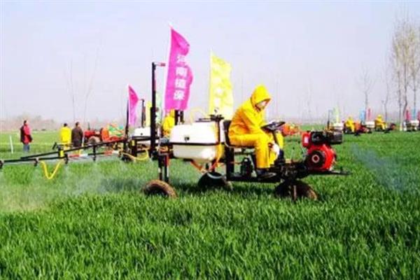 小麦拔节期需要用什么肥料，中后期结合浇水亩施10-15公斤尿素