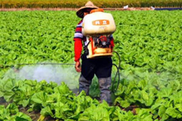 磷酸二氢钾有什么作用，对植物使用具有增产、防治早衰等效果