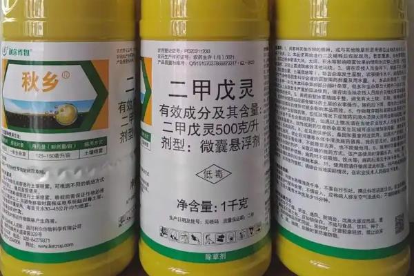 给芦笋除草怎么使用除草通，可在播种后、出苗前兑水喷雾