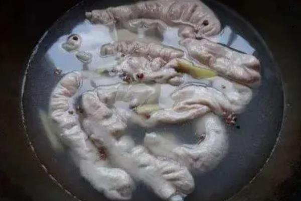 如何洗猪肠子最快最干净，按以下4个步骤进行可充分洗净